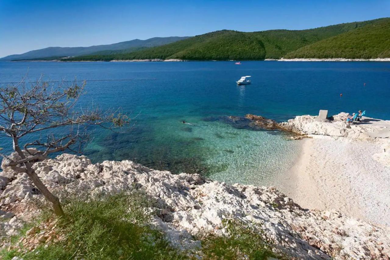 Apartment E&t With A Beautiful Pool Rabac