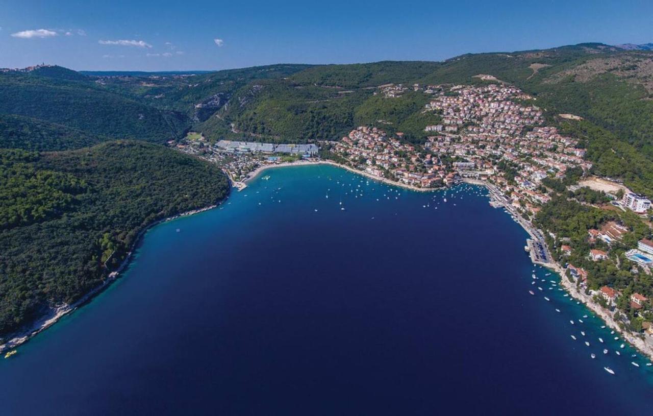E&t With A Beautiful Pool * Rabac